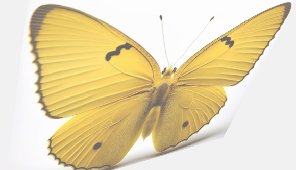 butterflyai